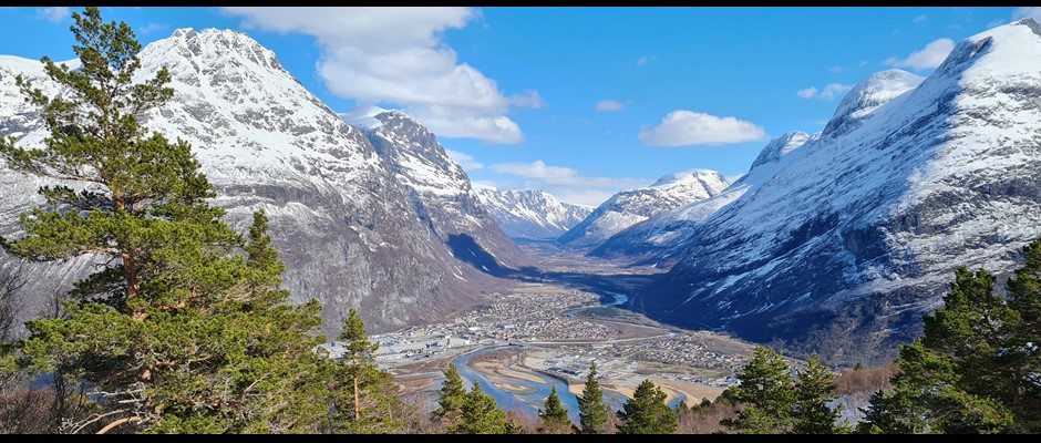 Prosjektingeniør