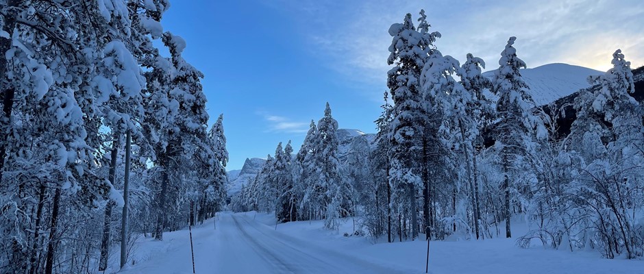 Kulde og belastning